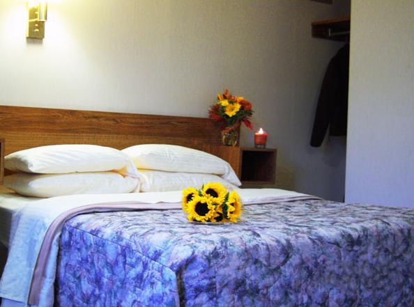 Tall Pines Motel Озеро Джордж Номер фото