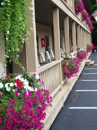 Tall Pines Motel Озеро Джордж Экстерьер фото