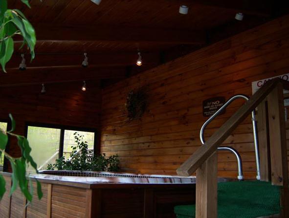 Tall Pines Motel Озеро Джордж Экстерьер фото